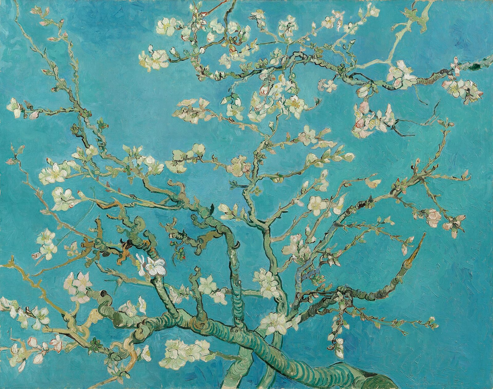フィンセント・ファン・ゴッホ《花咲くアーモンドの木の枝》1890年2月