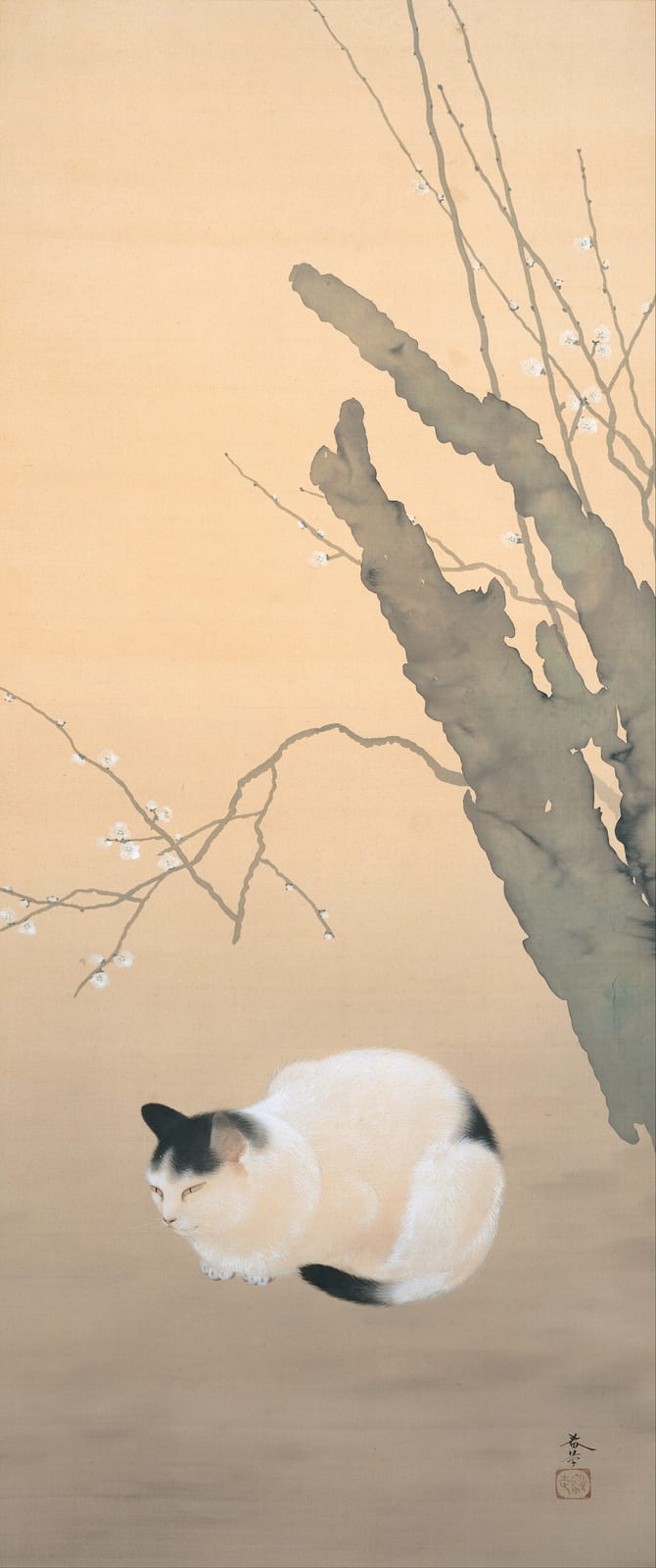 菱田春草《猫梅》1906年(明治39年)